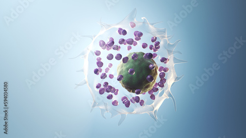 3d illustration of a mast cell photo