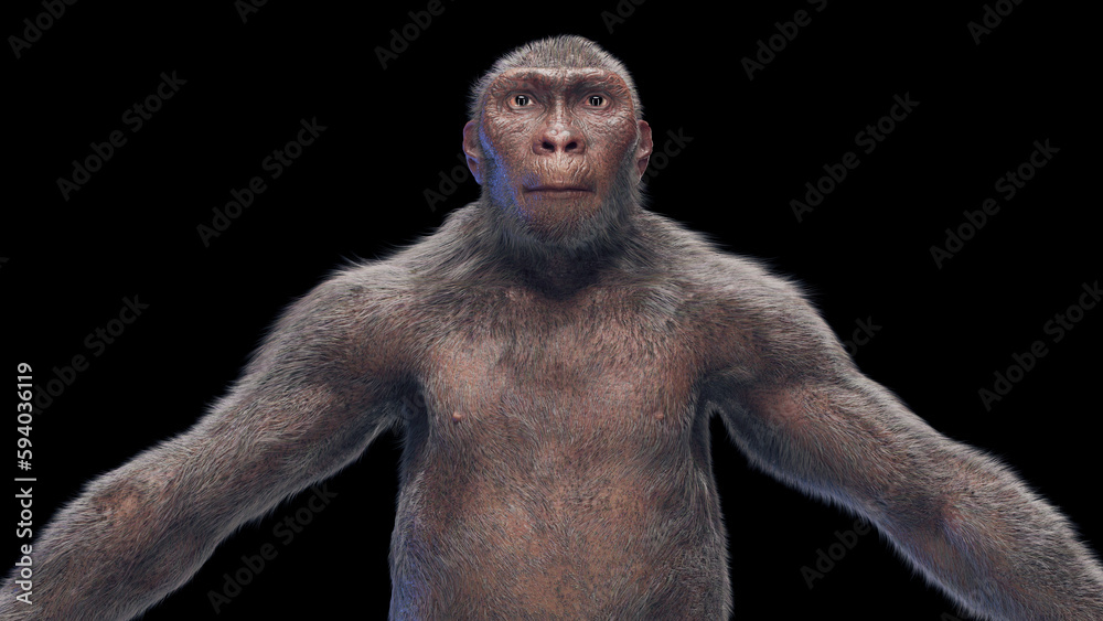 3d illustration of Australopithecus afarensis male 3d illustration of Australopithecus afarensis male