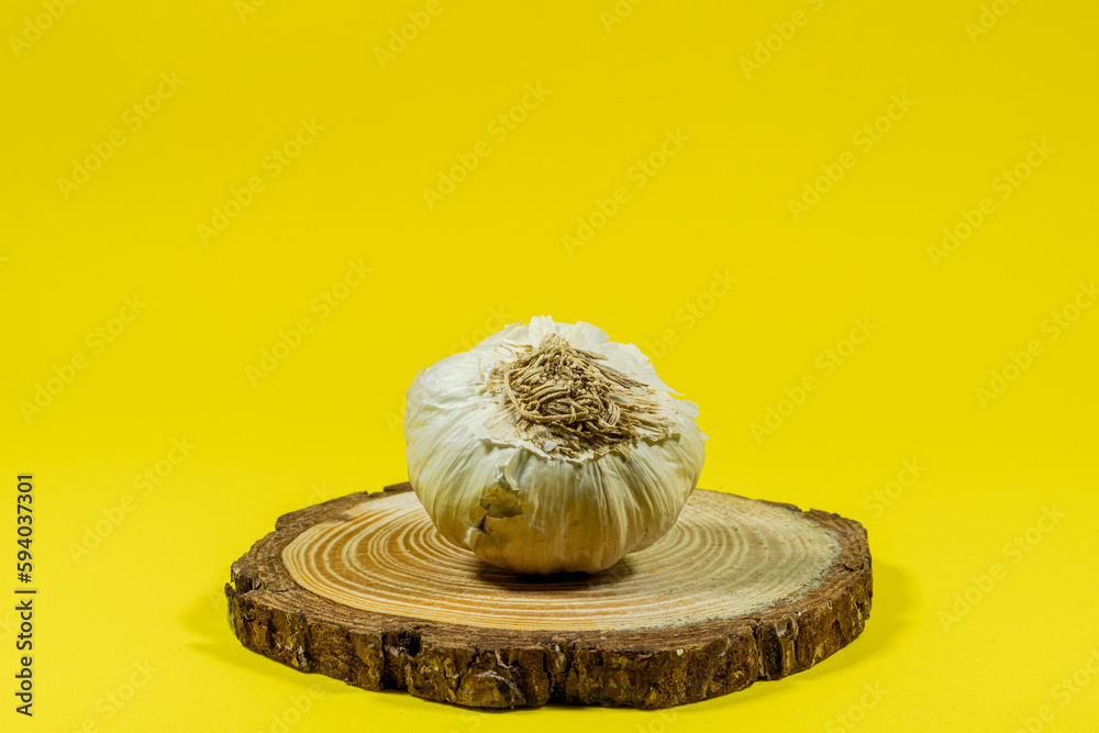 Garlic head on sliced wooden log, on a yellow background. 