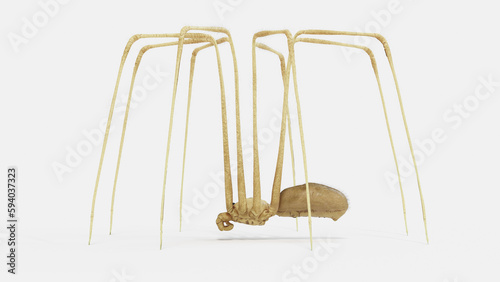 3d illustration of a daddy long legs spider