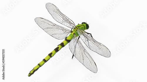 Valokuva 3d illustration of a dragonfly