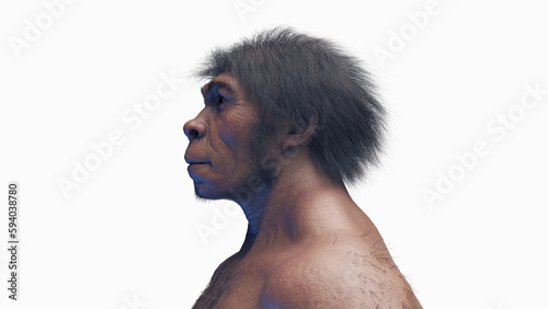 Εκτύπωση καμβά 3d illustration of a male homo erectus
