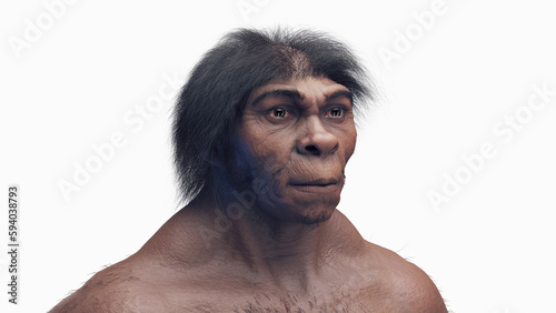 3d illustration of a male homo erectus photo