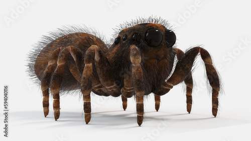 3d illustration of a jumping spider