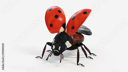 3d illustration of a ladybug
