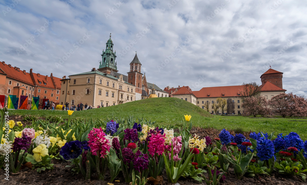 Spring view of Wawel Royal Castle complex in Krakow, Poland. It is the most historically and culturally important site in Poland. Flowers on a foreground