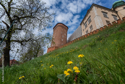 Spring view of Wawel Royal Castle complex in Krakow, Poland. It is the most historically and culturally important site in Poland. Flowers on a foreground