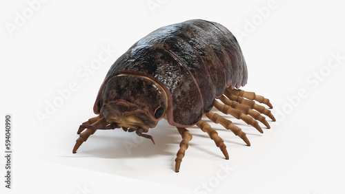 3d illustration of a pill bug