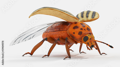 3d illustration of a potato beetle