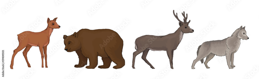 Forest Animal and Habitant with Deer, Bear and Wolf Vector Set