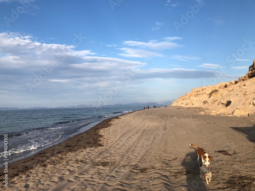 playa, mar, cerros, atardecer.
