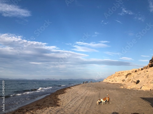 Mar, cielo, cerro, perro.