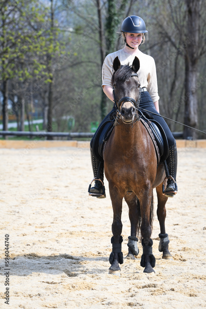 Reitpferd / Reitpony