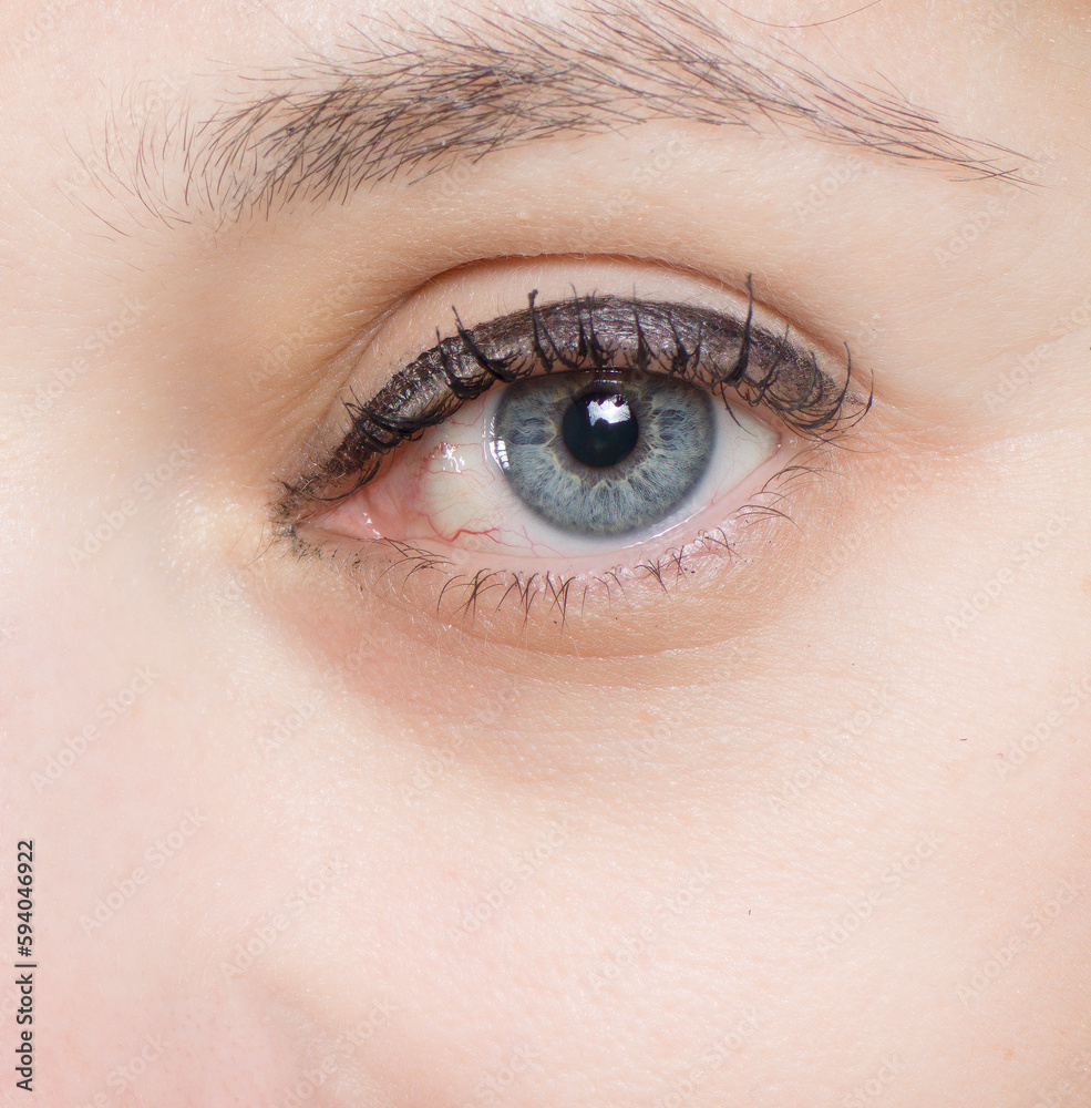Obraz premium close-up detail of female eye