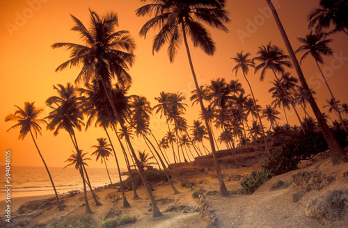 INDIA GOA LANDSCAPE BEACH © flu4022