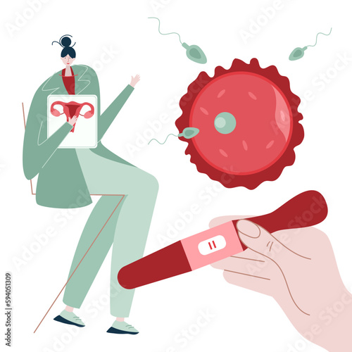 The woman doctor, gynecologist planning pregnancy or cycle, ovulation and  menstrual period PMS. Hand hold pregnancy positive test. Illustration good for medical clinic poster or UI UX design apps.