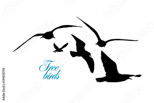 Flying seagulls silhouette. Vector illustration
