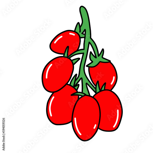 tomato vegetable tomatoes
