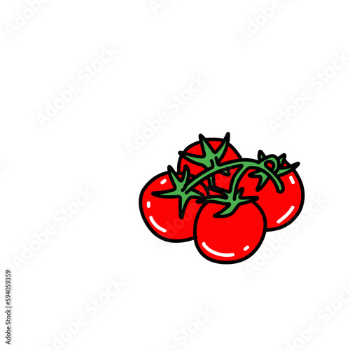 tomato vegetable tomatoes