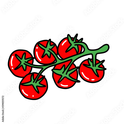 tomato vegetable tomatoes
