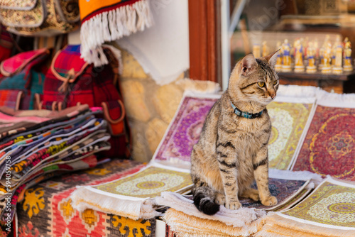 Grey turkish cat with yellow eyes sitting on carpets in Antalya old town