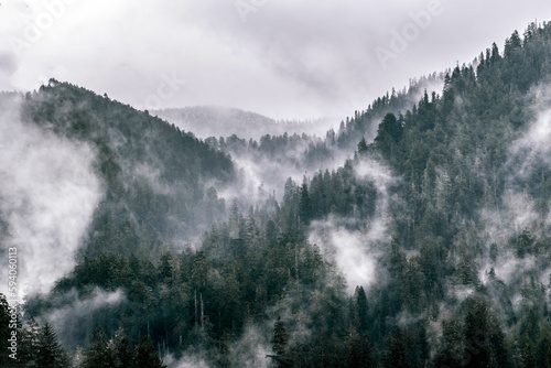 Clouds and fog in morning on top of mountains in Hoh Rain Forest, Olympic National Park, USA
