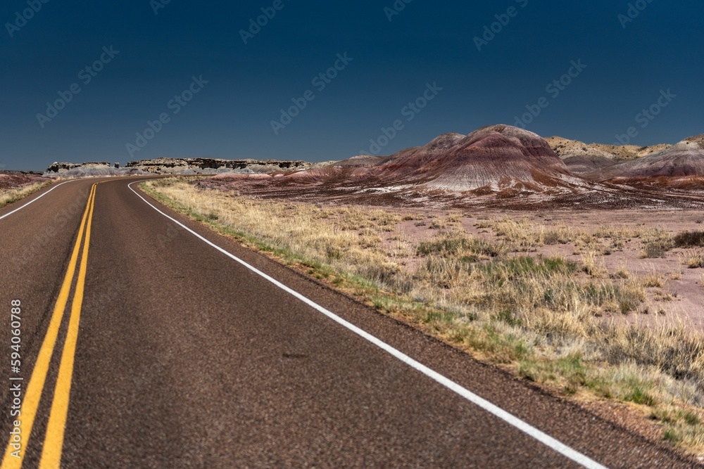 Beautiful view of an asphalt road Desert inside Petrified Forest