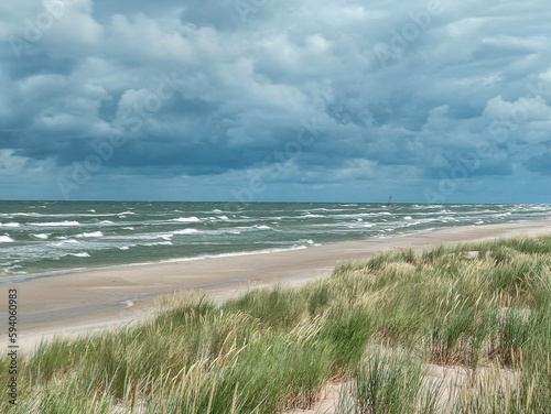 Fototapeta Naklejka Na Ścianę i Meble -  beach and sea with sandy beach and green grass, stormy sky, beautiful view