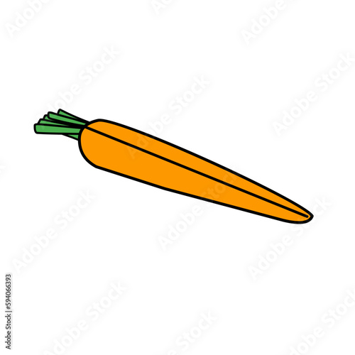 vegetable carrot
