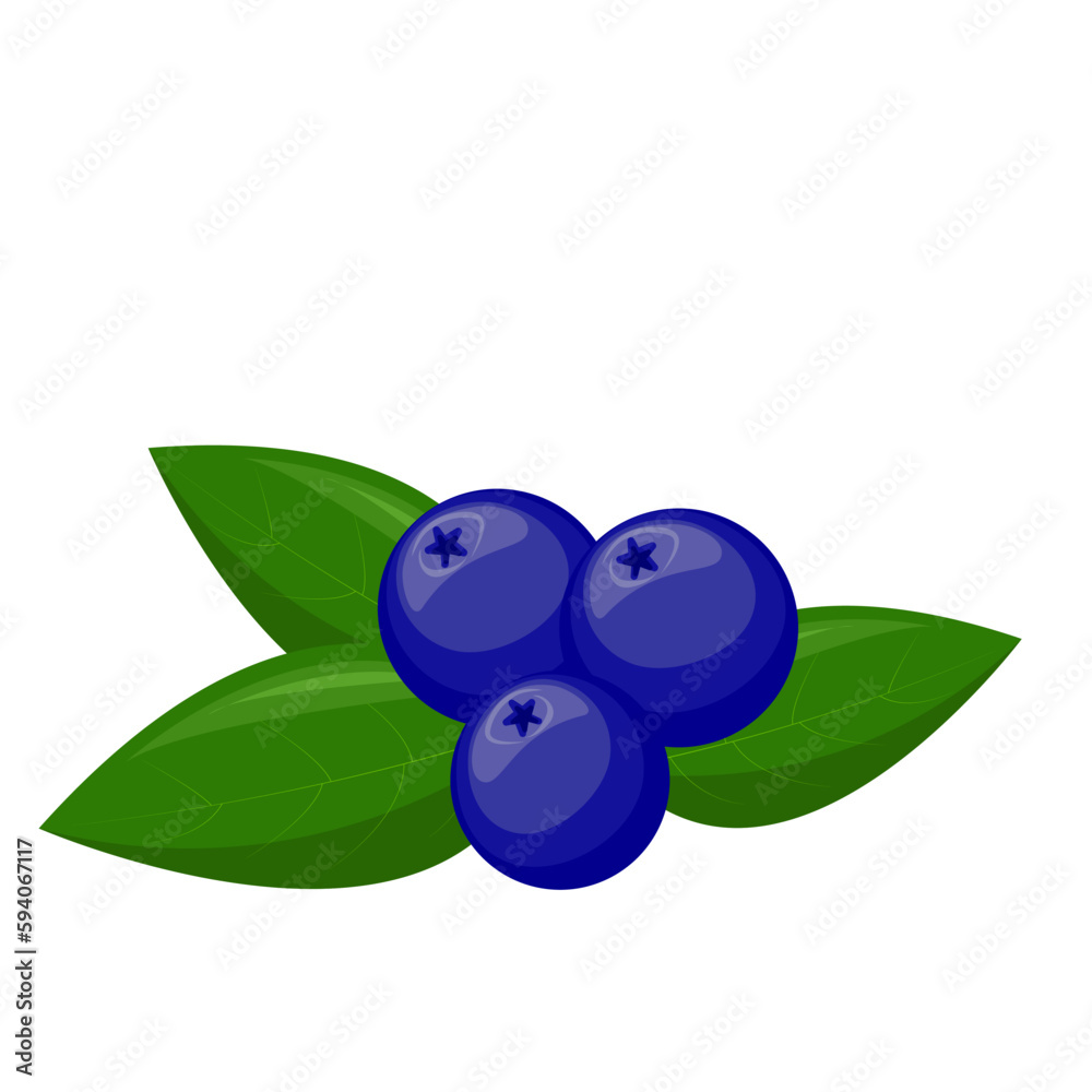 Blueberries with leaves. For your design, pattern, badge, label, textile etc. Summer fruits for healthy lifestyle. Organic fruit. Cartoon style. Vector illustration Blueberries with leaves. For your design, pattern, badge, label, textile etc. Summer fruits for healthy lifestyle. Organic fruit. Cartoon style. Vector illustration