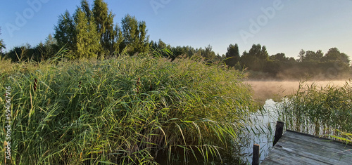 Sunrise over a small lake near Kurów on a sunny summer morning, Puławy, Poland.
