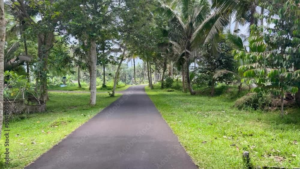 path in the garden of Ubud with lush green valley view path in the garden of Ubud with lush green valley view