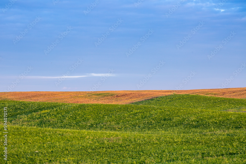 Endless farm fields on the slopes of the hills are sown with various crops. Peaceful rural landscape. Summer evening in the western Ukraine near Rivne city.