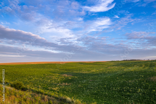 Endless farm fields on the slopes of the hills are sown with various crops. Peaceful rural landscape with awesome sky. Summer evening in the western Ukraine near Rivne city.