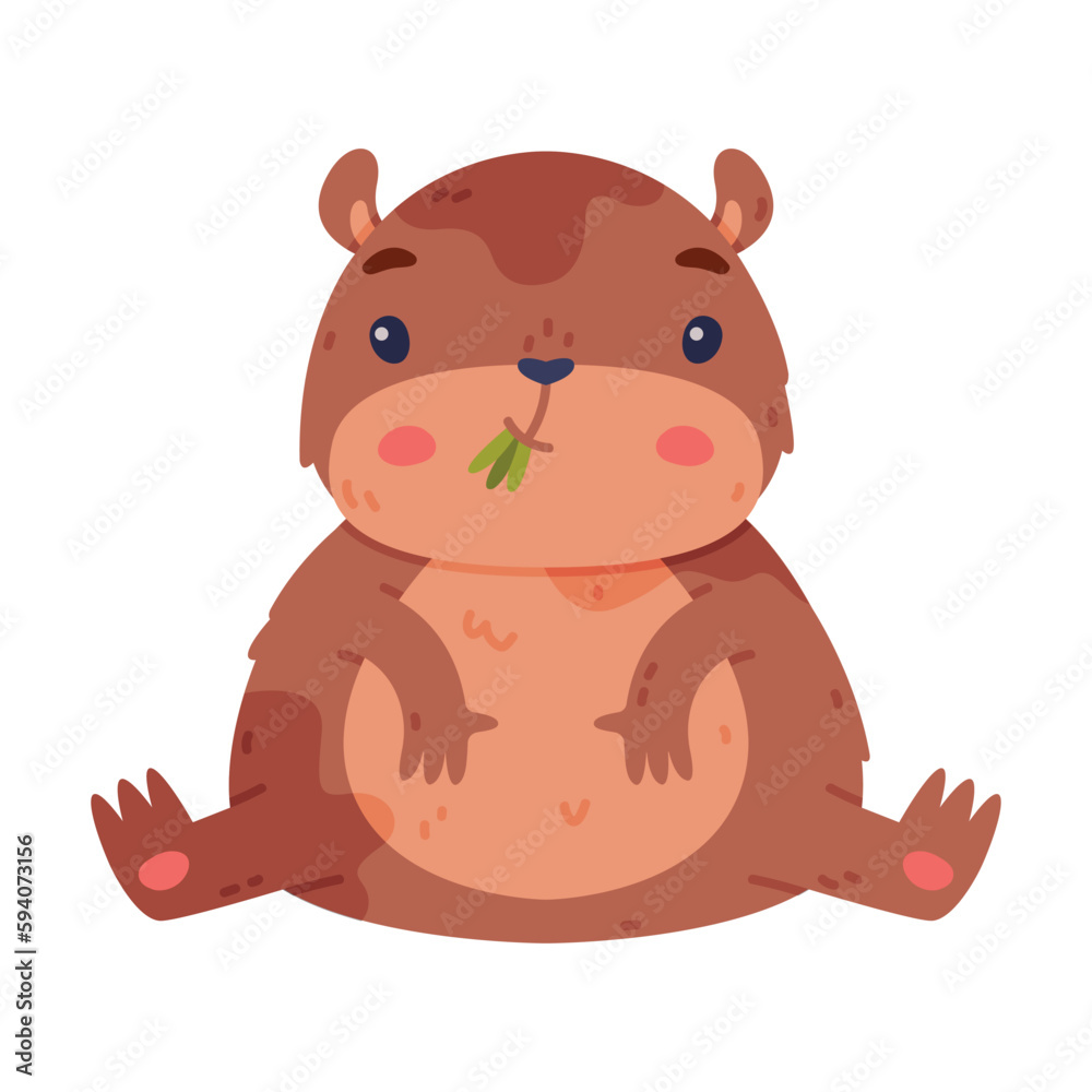 Cute Hamster Character with Stout Body Sitting and Chewing Grass Vector Illustration Cute Hamster Character with Stout Body Sitting and Chewing Grass Vector Illustration