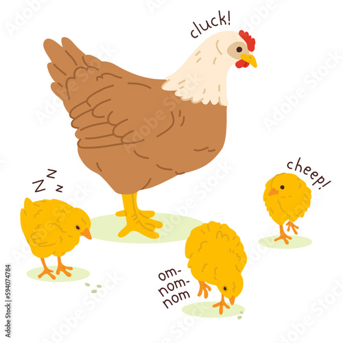 Vector illustration of cute doodle mother hen and chicks for digital stamp,greeting card,sticker,icon,Easter design
