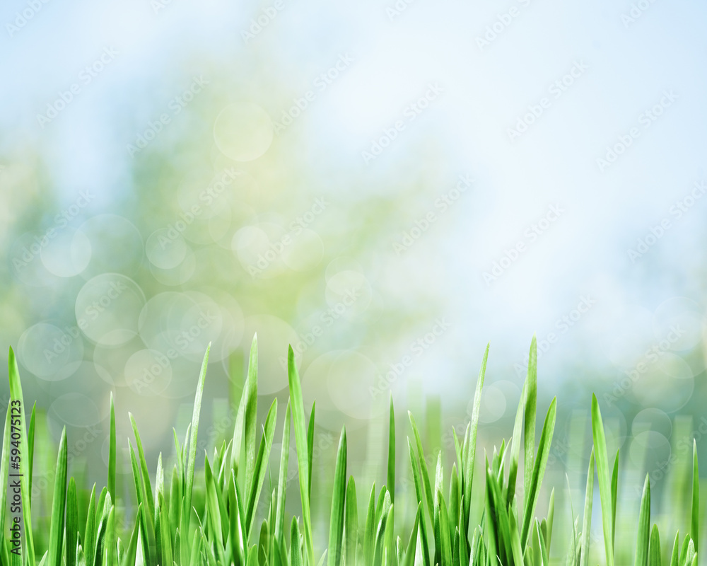 Summer backgrounds with green grass over blurred backgrounds