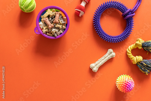 Photography Frame with dogs rubber and textile toys, snacks, bones on orange background