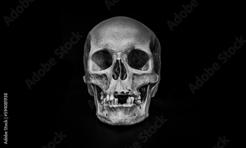 real human skull on black