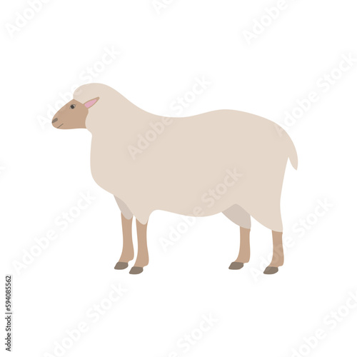 Vector flat hand drawn sheep isolated on white background