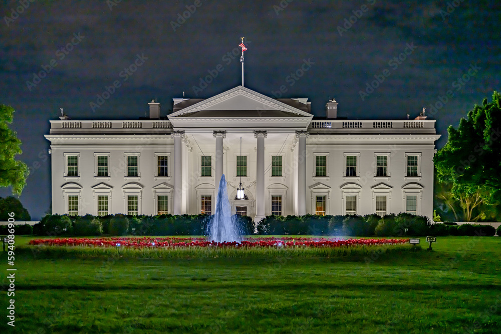 Obraz premium white house