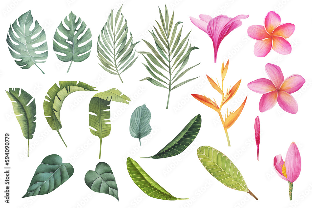 Set of tropical plants and flowers. Botanical watercolor green exotic leaves. Coconut palm, monstera, banana tree, plumeria. Perfect for cards, invitations, wedding and summer designs Set of tropical plants and flowers. Botanical watercolor green exotic leaves. Coconut palm, monstera, banana tree, plumeria. Perfect for cards, invitations, wedding and summer designs