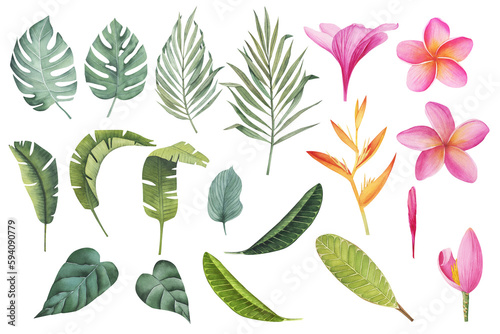 Set of tropical plants and flowers. Botanical watercolor green exotic leaves. Coconut palm, monstera, banana tree, plumeria. Perfect for cards, invitations, wedding and summer designs