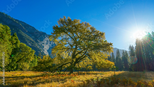 Fototapeta Naklejka Na Ścianę i Meble -  Yosemite National Park in California’s Sierra Nevada mountains, California, USA	
