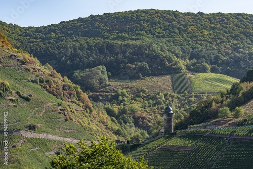 spektakulärer, atemberaubender Panorama Blick vom Prizenkopfturm  auf die Moselschleife, das Moseltal von Reil bis zum Bremmer Calmont,  Zeller Hamm, die Hunsrückhöhen und den Kondelwald photo