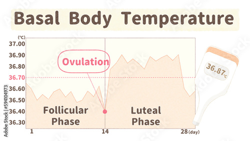 BBT chart and basal thermometer; degree Celsius PNG