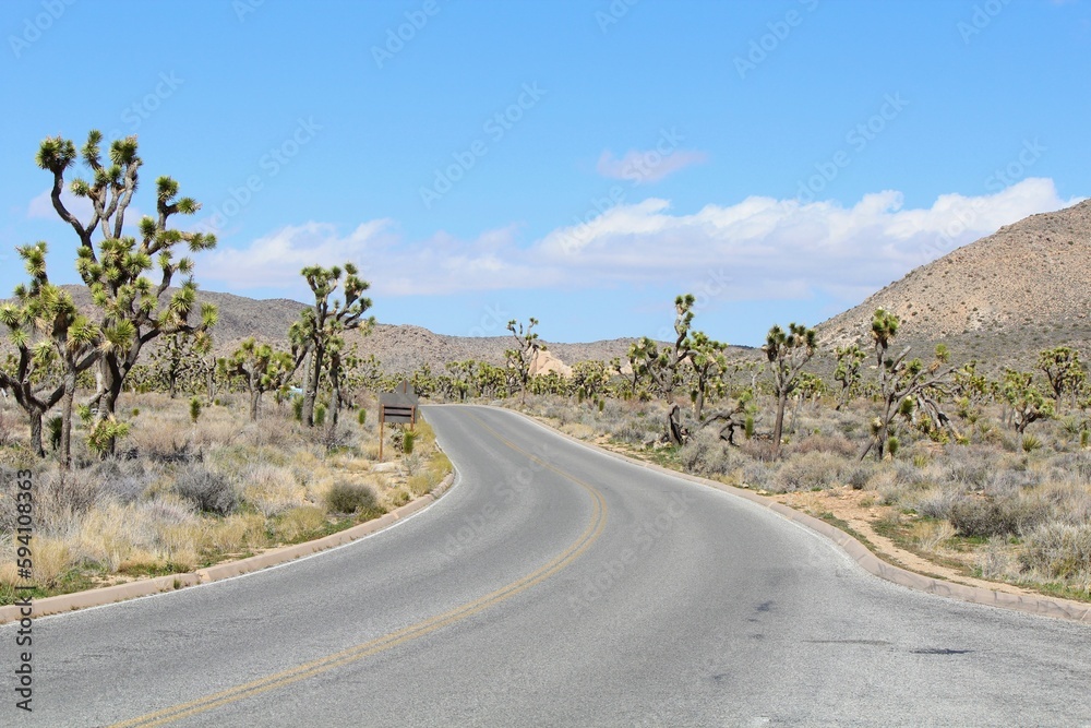 An empty winding road through the landscape of Joshua Tree National park, full of rock outcroppings and Joshua trees on a sunny day in Joshua Tree National Park, California, United States