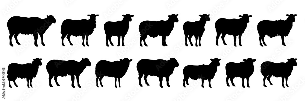 Sheep silhouettes set, large pack of vector silhouette design, isolated white background