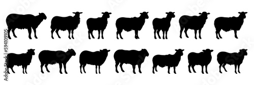 Sheep silhouettes set  large pack of vector silhouette design  isolated white background