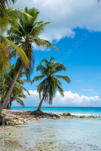 Dominican Republic  beautiful Caribbean coast with turquoise water and palm trees.